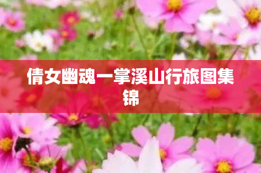 倩女幽魂一掌溪山行旅图集锦图片