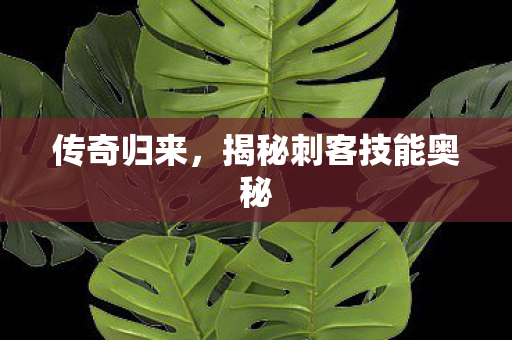 揭秘刺客技能奥秘图片