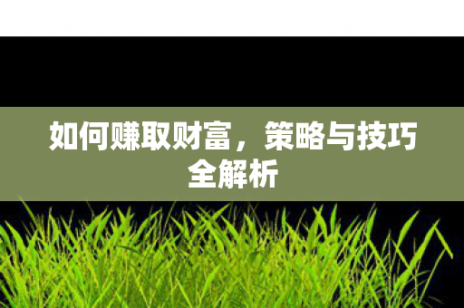 策略与技巧全解析图片