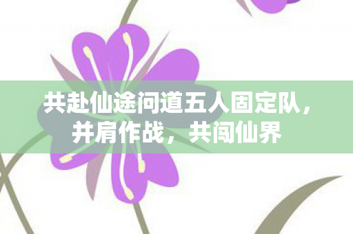 共赴仙途问道五人固定队图片