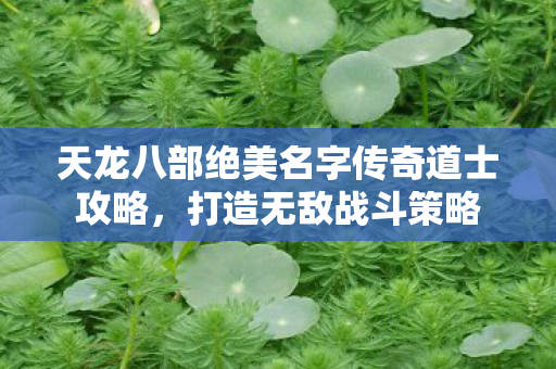 天龙八部绝美名字传奇道士攻略图片