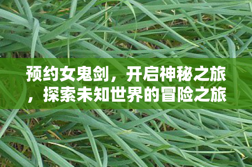 探索未知世界的冒险之旅图片