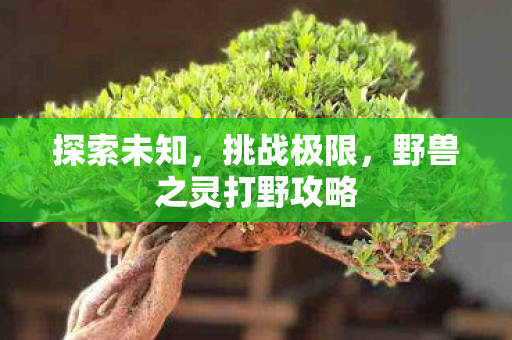 野兽之灵打野攻略图片