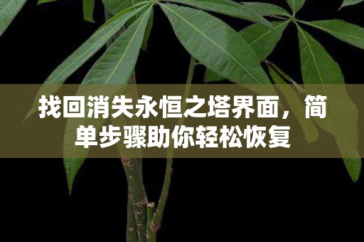 找回消失永恒之塔界面图片