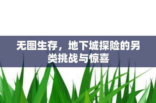地下城探险的另类挑战与惊喜图片