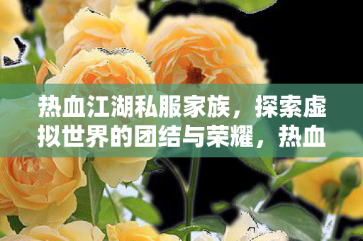 探索虚拟世界的团结与荣耀图片