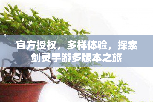 探索剑灵手游多版本之旅图片