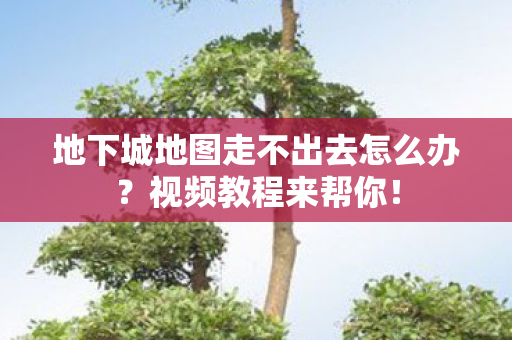 地下城地图走不出去怎么办图片