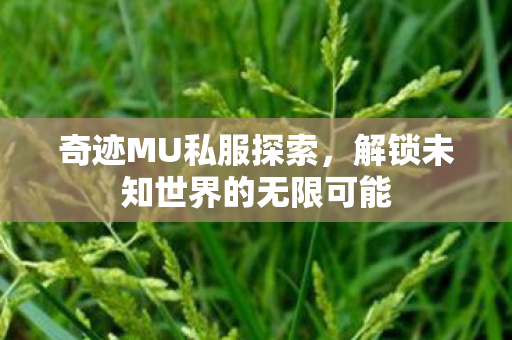 奇迹MU私服探索,解锁未知世界的无限可能 奇迹MU私服探索,解锁未知世界的无限可能