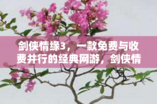 一款免费与收费并行的经典网游图片