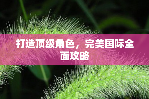完美国际全面攻略图片