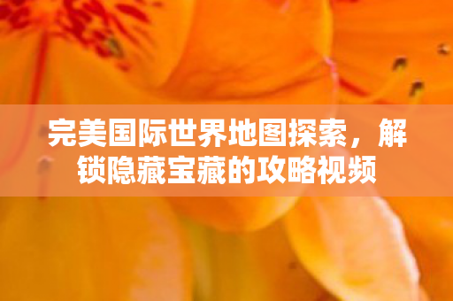 解锁隐藏宝藏的攻略视频图片