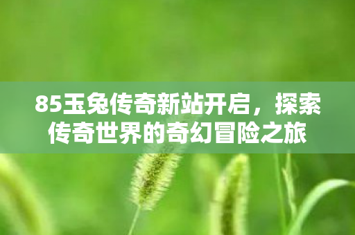 探索传奇世界的奇幻冒险之旅图片