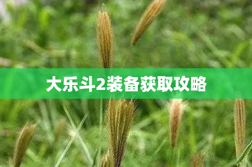 大乐斗2装备获取攻略图片