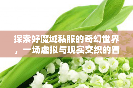 探索好魔域私服的奇幻世界,一场虚拟与现实交织的冒险,探索好魔域私服的奇幻世界,虚拟与现实的冒险之旅 探索好魔域私服的奇幻世界,一场虚拟与现实交织的冒险,探索好魔域私服的奇幻世界,虚拟与现实的冒险之旅