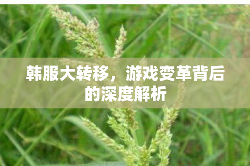 游戏变革背后的深度解析图片