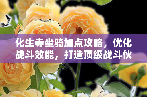 化生寺坐骑加点攻略图片