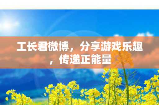 分享游戏乐趣图片