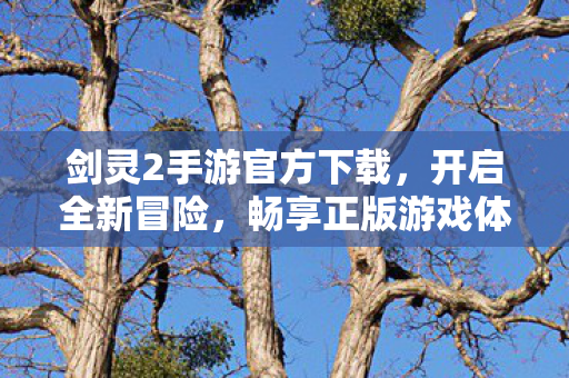 剑灵2手游官方下载图片