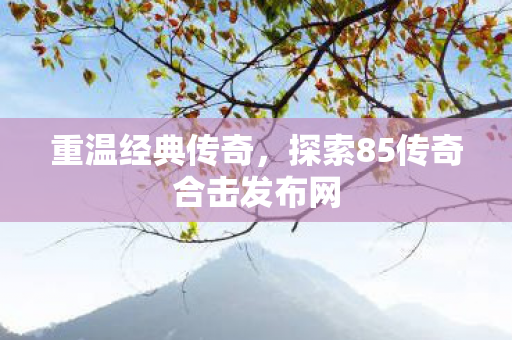 探索85传奇合击发布网图片
