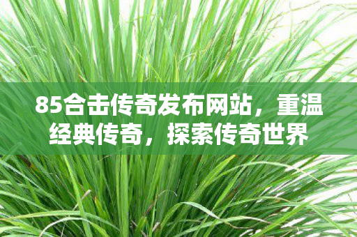 85合击传奇发布网站图片