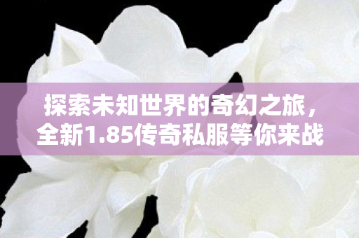 探索未知世界的奇幻之旅,全新1.85传奇私服等你来战 探索未知世界的奇幻之旅,全新1.85传奇私服等你来战