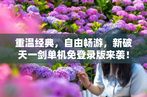 新破天一剑单机免登录版来袭图片
