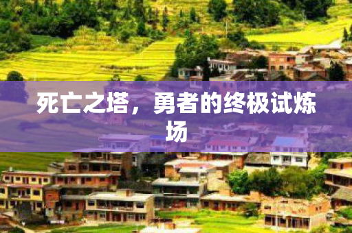 勇者的终极试炼场图片