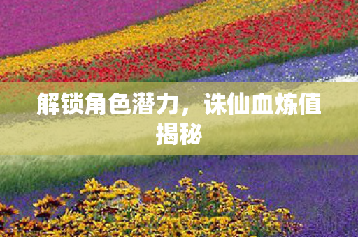 诛仙血炼值揭秘图片