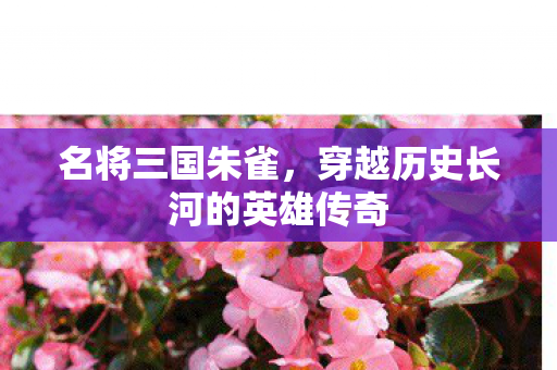 穿越历史长河的英雄传奇图片