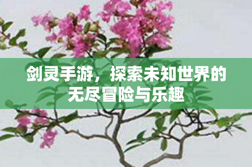 探索未知世界的无尽冒险与乐趣图片