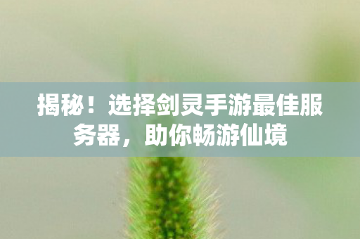 选择剑灵手游最佳服务器图片