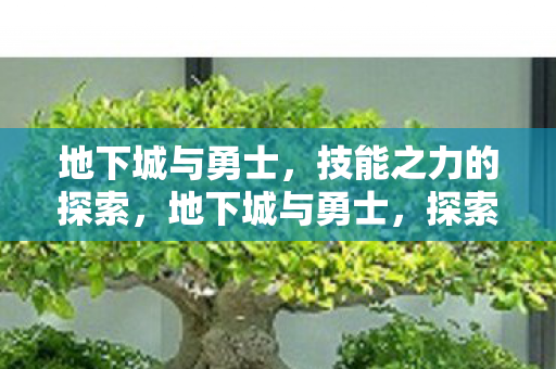技能之力的探索图片