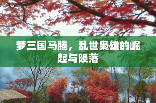 乱世枭雄的崛起与陨落图片