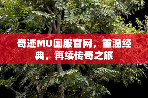 奇迹MU国服官网,重温经典,再续传奇之旅 奇迹MU国服官网,重温经典,再续传奇之旅