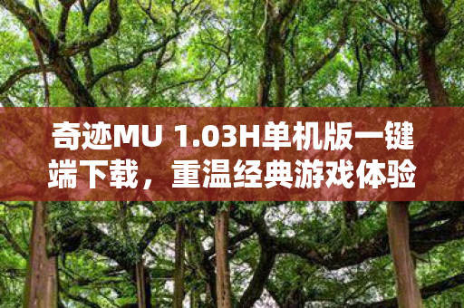 奇迹MU 1.03H单机版一键端下载,重温经典游戏体验 奇迹MU 1.03H单机版一键端下载,重温经典游戏体验