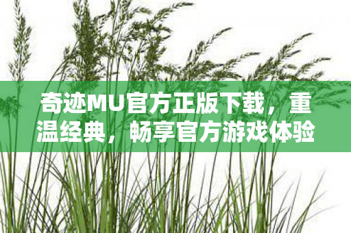 奇迹MU官方正版下载,重温经典,畅享官方游戏体验 奇迹MU官方正版下载,重温经典,畅享官方游戏体验