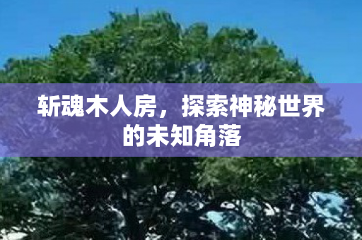探索神秘世界的未知角落图片