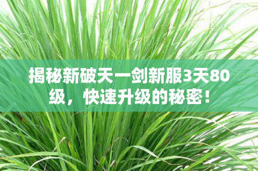 揭秘新破天一剑新服3天80级图片