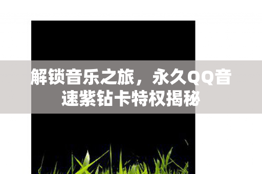 永久QQ音速紫钻卡特权揭秘图片