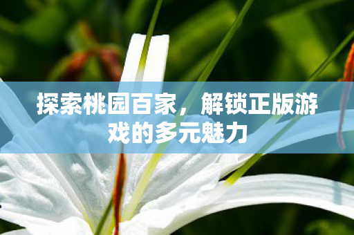 解锁正版游戏的多元魅力图片