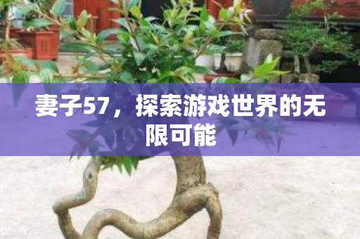 探索游戏世界的无限可能图片