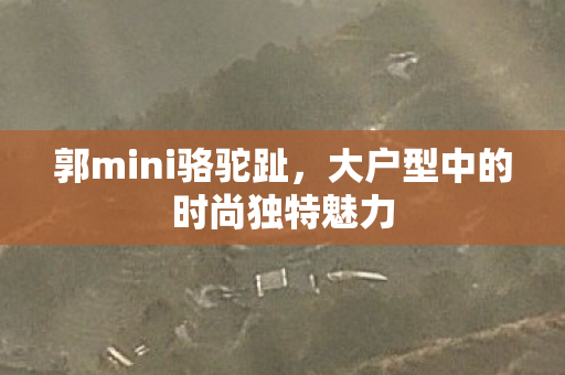大户型中的时尚独特魅力图片