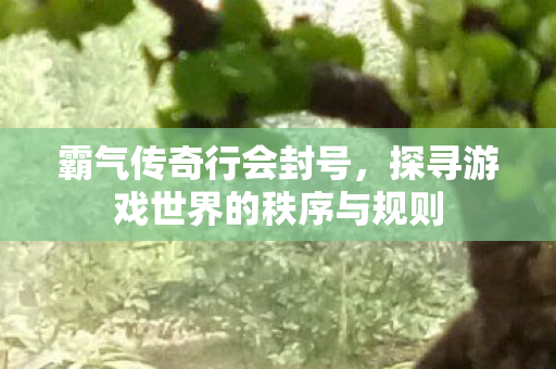 探寻游戏世界的秩序与规则图片