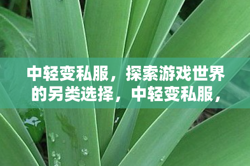 探索游戏世界的另类选择图片