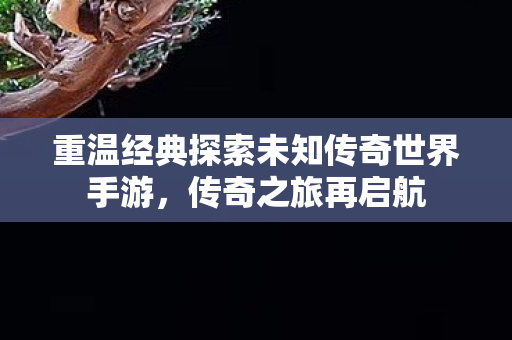 重温经典探索未知传奇世界手游图片