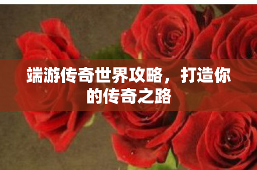 端游传奇世界攻略图片