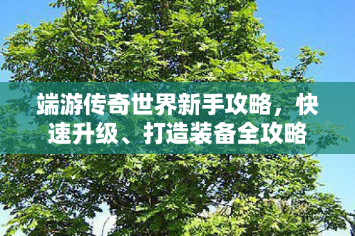 端游传奇世界新手攻略图片