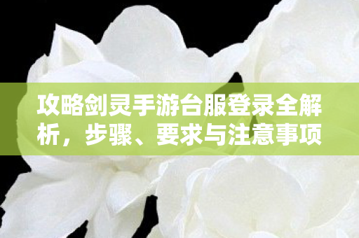 攻略剑灵手游台服登录全解析图片