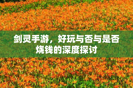 好玩与否与是否烧钱的深度探讨图片
